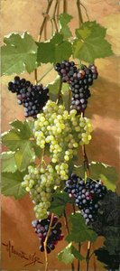 Grapes by Edward Chalmers Leavitt